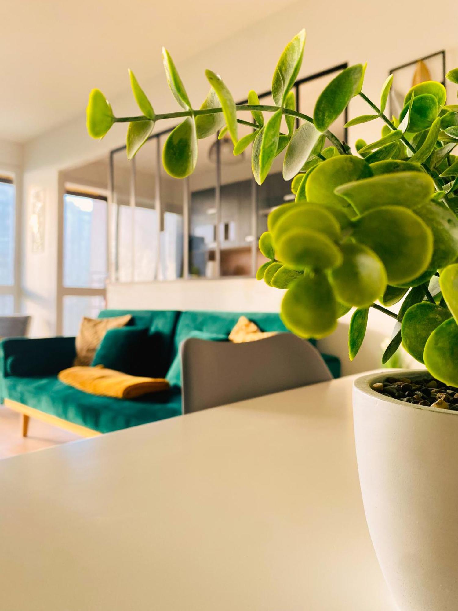 ברסט Spacieux Appartement Lumineux מראה חיצוני תמונה